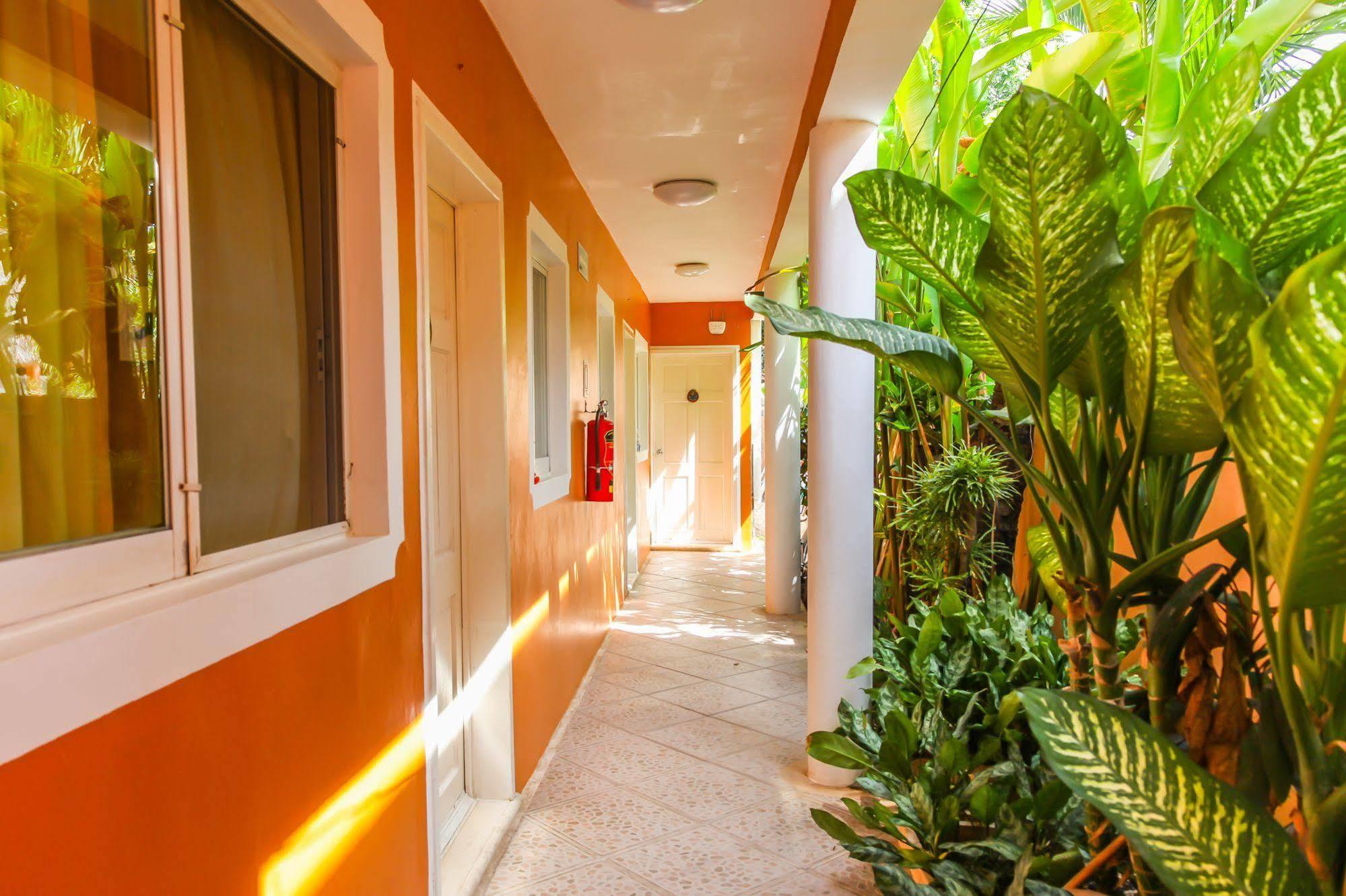 Hotel Residencia La Mariposa Τουλούμ Εξωτερικό φωτογραφία